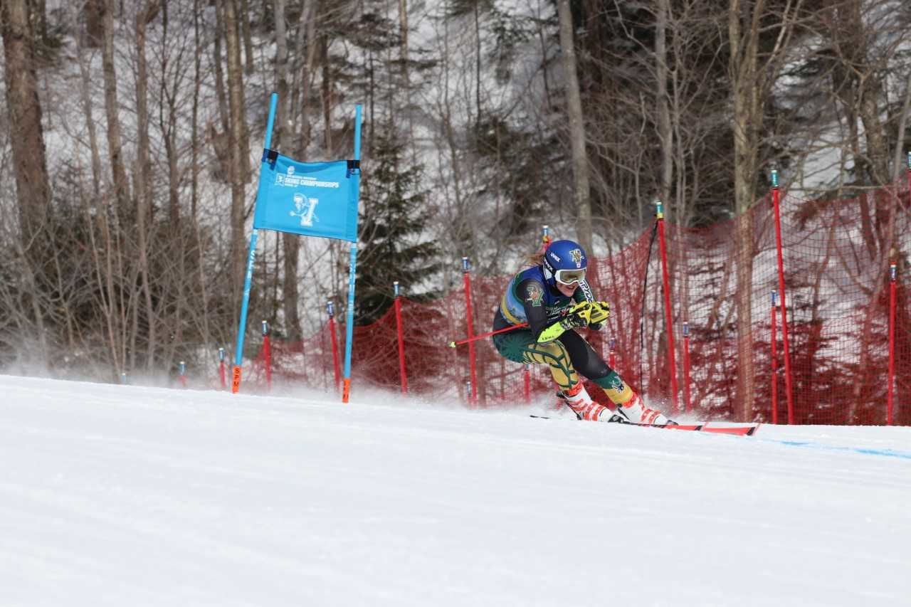 ski